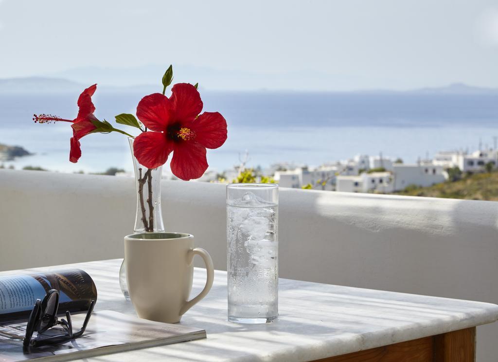 Dinora Villa Agios Ioannis (Tinos) Exterior foto